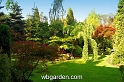 wbgarden spring 1